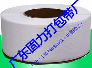 固力打包带厂 以知识产权服务赋能企业创新与市场竞争力