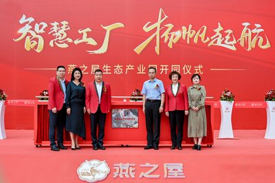知识产权服务 国家知识产权优势企业的核心竞争力